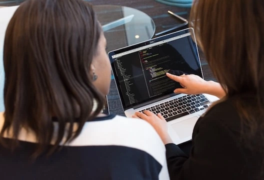 IT Consultants